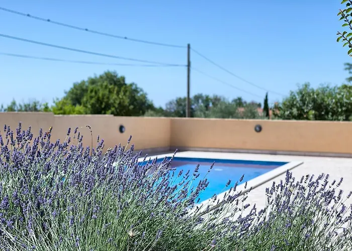 Villa Pascal By Istra Vacation *